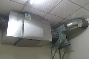 雞排店-博士雞排三店(台中太平)