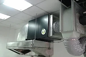 雞排店-Juicy(新北)